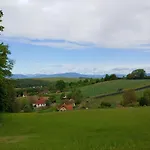 Kleine Reblaus