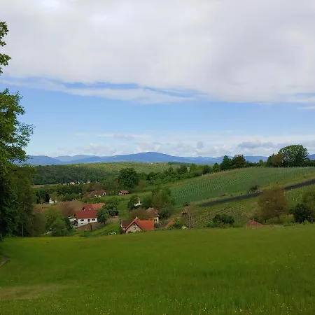 Kleine Reblaus