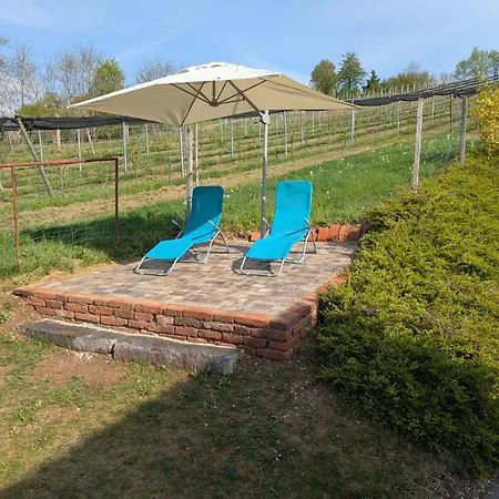 Kleine Reblaus Apartment Bad Waltersdorf