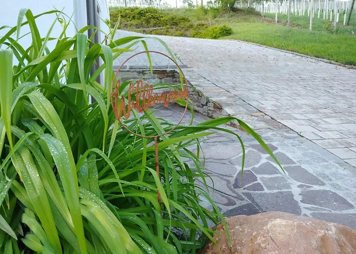 Lägenhet Kleine Reblaus Bad Waltersdorf