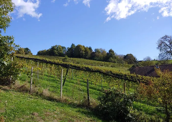 Lägenhet Kleine Reblaus Bad Waltersdorf