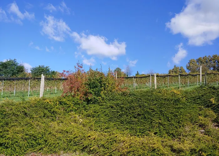 Kleine Reblaus * Bad Waltersdorf